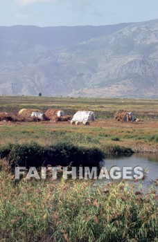 miletus, turkey, Ruin, paul, Third, missionary, journey, tent, dwelling, House, residence, ruins, thirds, missionaries, journeys, tents, dwellings, houses, residences