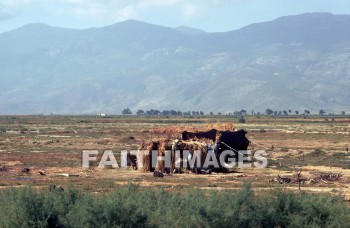 miletus, turkey, Ruin, paul, Third, missionary, journey, tent, dwelling, House, residence, ruins, thirds, missionaries, journeys, tents, dwellings, houses, residences