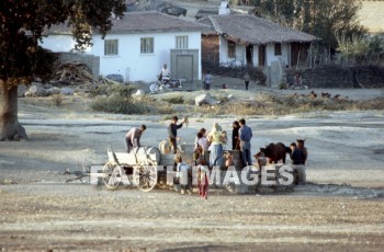 Mysia, turkey, donkey, Asia, minor, paul, silas, Second, missionary, journey, troas, wagon, well, child, water, House, dwelling, residence, Donkeys, seconds, missionaries, journeys, wagons, wells, children, waters