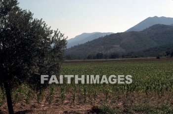 Pergamos, lower, pergamum, turkey, Seven, church, revelation, archaeological, site, surrounding, countryside, mountain, sevens, Churches, revelations, sites, countrysides, mountains