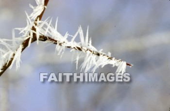 frost, design, pattern, sleet, ice, glitter, glaze, glare, crust, Frozen, water, frostwork, cold, weather, frosted, winter, freezing, icy, crystal, frosts, designs, patterns, ices, glitters, glazes, glares