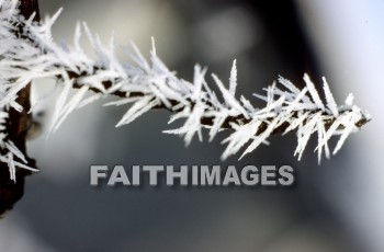 frost, design, pattern, sleet, ice, glitter, glaze, glare, crust, Frozen, water, frostwork, cold, weather, frosted, winter, freezing, icy, crystal, frosts, designs, patterns, ices, glitters, glazes, glares