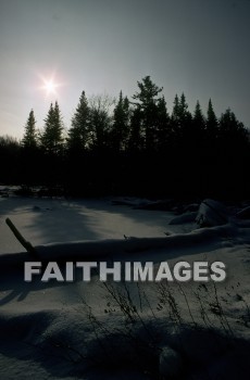 frost, design, pattern, sleet, ice, glitter, glaze, glare, crust, Frozen, water, frostwork, cold, weather, frosted, winter, freezing, icy, crystal, tree, forest, frosty, evergreen, frosts, designs, patterns