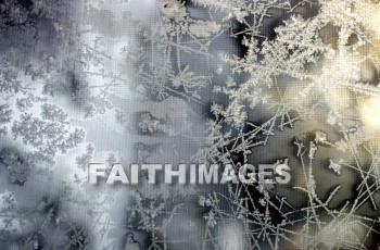 frost, design, pattern, sleet, ice, glitter, glaze, glare, crust, Frozen, water, frostwork, cold, weather, frosted, winter, freezing, icy, crystal, tree, forest, frosty, frosts, designs, patterns, ices