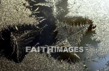 frost, design, pattern, sleet, ice, glitter, glaze, glare, crust, Frozen, water, frostwork, cold, weather, frosted, winter, freezing, icy, crystal, tree, forest, frosty, frosts, designs, patterns, ices