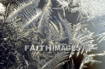 frost, design, pattern, sleet, ice, glitter, glaze, glare, crust, Frozen, water, frostwork, cold, weather, frosted, winter, freezing, icy, crystal, tree, forest, frosty, frosts, designs, patterns, ices