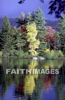 lake, tree, creation, leaf, forest, outdoors, foliage, season, wood, environment, tranquil, nature, tree, hill, hill, tranquility, serene, peacefulness, serenity, calmness, strength, Landscape, sublime, enduring, breathtaking, inspirational