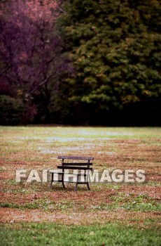 bench, seat, bank, chair, form, lawn, nature, tranquil, summer, environment, wood, season, day, outdoors, forest, outside, leaf, tranquility, benches, seats, Banks, chairs, forms, lawns, natures, summers