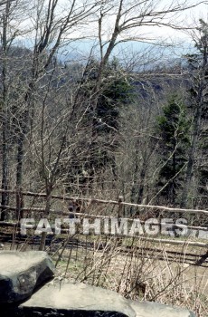 path, wood, serene, quiet, peaceful, peace, paths, woods