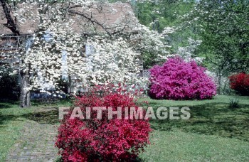 bush, flower, tranquility, spring, leaf, outdoors, day, foliage, tree, season, wood, environment, tranquil, nature, tree, Worship, Presentation, Present, Beautiful, Venerate, Sing, Sanctify, Reverence, Revere, Respect, Pray