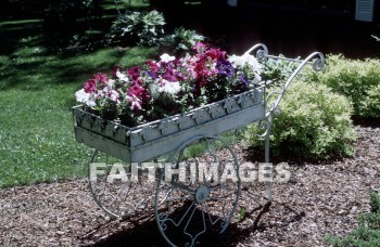 flower, cart, wagon, tranquility, spring, leaf, outdoors, day, foliage, tree, season, wood, environment, tranquil, nature, tree, Worship, Presentation, Present, Beautiful, Venerate, Sing, Sanctify, Reverence, Revere, Respect