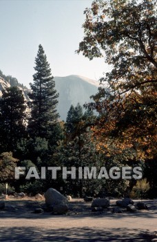 mountain, forest, Worship, Presentation, Present, Beautiful, Venerate, Sing, Sanctify, Reverence, Revere, Respect, Pray, Praise, Magnify, Love, Glorify, Extol, Exalt, Chant, Celebrate, Adore, Admire, Backgrounds, background, Create