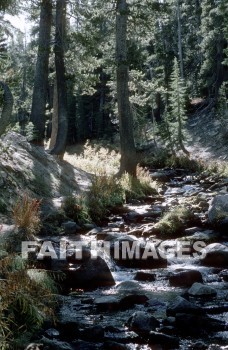 stream, forest, Worship, Presentation, Present, Beautiful, Venerate, Sing, Sanctify, Reverence, Revere, Respect, Pray, Praise, Magnify, Love, Glorify, Extol, Exalt, Chant, Celebrate, Adore, Admire, Backgrounds, background, Create