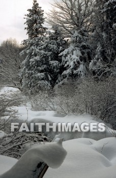 winter, forest, Worship, Presentation, Present, Beautiful, Venerate, Sing, Sanctify, Reverence, Revere, Respect, Pray, Praise, Magnify, Love, Glorify, Extol, Exalt, Chant, Celebrate, Adore, Admire, Backgrounds, background, Create