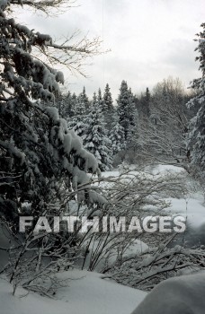 winter, forest, Worship, Presentation, Present, Beautiful, Venerate, Sing, Sanctify, Reverence, Revere, Respect, Pray, Praise, Magnify, Love, Glorify, Extol, Exalt, Chant, Celebrate, Adore, Admire, Backgrounds, background, Create