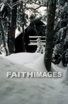 winter, forest, Worship, Presentation, Present, Beautiful, Venerate, Sing, Sanctify, Reverence, Revere, Respect, Pray, Praise, Magnify, Love, Glorify, Extol, Exalt, Chant, Celebrate, Adore, Admire, Backgrounds, background, Create