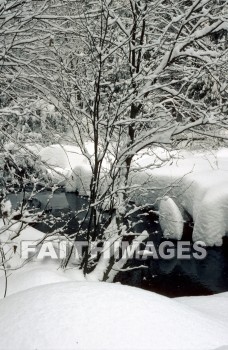 winter, forest, Worship, Presentation, Present, Beautiful, Venerate, Sing, Sanctify, Reverence, Revere, Respect, Pray, Praise, Magnify, Love, Glorify, Extol, Exalt, Chant, Celebrate, Adore, Admire, Backgrounds, background, Create