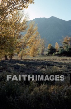 mountain, forest, Worship, Presentation, Present, Beautiful, Venerate, Sing, Sanctify, Reverence, Revere, Respect, Pray, Praise, Magnify, Love, Glorify, Extol, Exalt, Chant, Celebrate, Adore, Admire, Backgrounds, background, Create