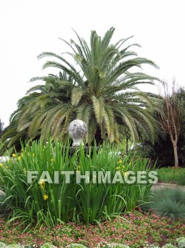 flower, flowering, bloom, blossom, blossoming, bud, cluster, creation, Create, background, Backgrounds, Admire, Adore, Sing, Beautiful, Present, Presentation, Worship, palm, tree, plant, flowers, blooms, blossoms, buds, clusters