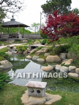 flower, flowering, bloom, blossom, blossoming, bud, cluster, creation, Create, background, Backgrounds, Admire, Adore, Sing, Beautiful, Present, Presentation, Worship, plant, flowers, blooms, blossoms, buds, clusters, creations, presents