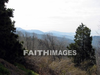 mountain, hill, alp, bluff, cliff, crag, dome, drift, elevation, height, mound, mount, peak, pike, range, ridge, forest, tree, thicket, timber, timberland, wood, woodland, pine, evergreen, sky