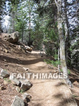 forest, mountain, hill, alp, bluff, cliff, crag, dome, drift, elevation, height, mound, mount, peak, pike, range, ridge, tree, thicket, timber, timberland, wood, woodland, pine, evergreen, sky