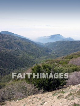 mountain, hill, alp, bluff, cliff, crag, dome, drift, elevation, height, mound, mount, peak, pike, range, ridge, forest, tree, thicket, timber, timberland, wood, woodland, pine, evergreen, sky