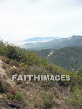 forest, mountain, hill, alp, bluff, cliff, crag, dome, drift, elevation, height, mound, mount, peak, pike, range, ridge, tree, thicket, timber, timberland, wood, woodland, pine, evergreen, sky