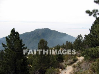 forest, mountain, hill, alp, bluff, cliff, crag, dome, drift, elevation, height, mound, mount, peak, pike, range, ridge, tree, thicket, timber, timberland, wood, woodland, pine, evergreen, sky