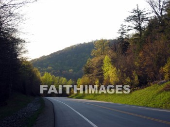 forest, tree, backwoods, grove, growth, thicket, timber, timberland, wood, woodland, woodlot, mountain, forests, trees, groves, Thickets, timbers, woods, woodlands, mountains