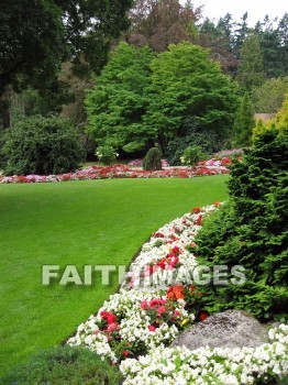 flower, flowering, bloom, blossom, blossoming, bud, cluster, creation, Create, background, Backgrounds, Admire, Adore, Sing, Beautiful, Present, Presentation, Worship, gardens, Vancouver, Canada, plant, flowers, blooms, blossoms, buds