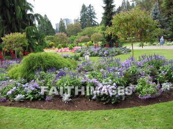 flower, flowering, bloom, blossom, blossoming, bud, cluster, creation, Create, background, Backgrounds, Admire, Adore, Sing, Beautiful, Present, Presentation, Worship, gardens, Vancouver, Canada, plant, flowers, blooms, blossoms, buds