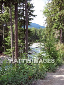 stream, mountain, hill, alp, bluff, cliff, crag, dome, drift, elevation, height, mound, mount, peak, pike, range, ridge, forest, tree, thicket, timber, timberland, wood, woodland, pine, evergreen