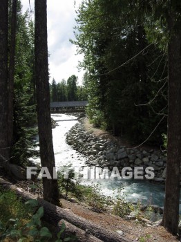 stream, mountain, hill, alp, bluff, cliff, crag, dome, drift, elevation, height, mound, mount, peak, pike, range, ridge, forest, tree, thicket, timber, timberland, wood, woodland, pine, evergreen