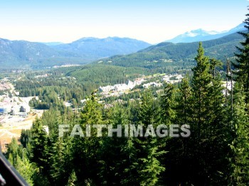 mountain, hill, alp, bluff, cliff, crag, dome, drift, elevation, height, mound, mount, peak, pike, range, ridge, forest, tree, thicket, timber, timberland, wood, woodland, path, pine, evergreen