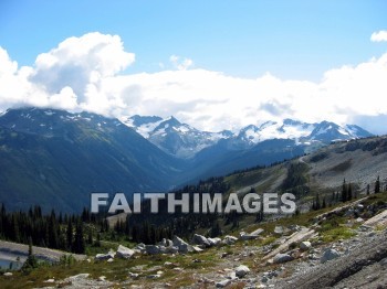 mountain, hill, alp, bluff, cliff, crag, dome, drift, elevation, height, mound, mount, peak, pike, range, ridge, forest, tree, thicket, timber, timberland, wood, woodland, path, pine, evergreen