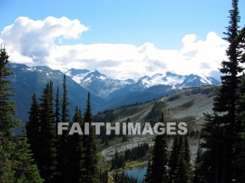 mountain, hill, alp, bluff, cliff, crag, dome, drift, elevation, height, mound, mount, peak, pike, range, ridge, forest, tree, thicket, timber, timberland, wood, woodland, path, pine, evergreen