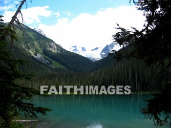 lake, mountain, hill, alp, bluff, cliff, crag, dome, drift, elevation, height, mound, mount, peak, pike, range, ridge, forest, tree, thicket, timber, timberland, wood, woodland, path, pine