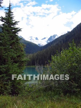 lake, mountain, hill, alp, bluff, cliff, crag, dome, drift, elevation, height, mound, mount, peak, pike, range, ridge, forest, tree, thicket, timber, timberland, wood, woodland, path, pine