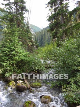stream, downrush, fall, fountain, outpouring, rapids, watercourse, overflow, mountain, tree, water, green, blue, cliff, shade, creation, Worship, background, Presentation, Present, forest, Landscape, outdoors, scenery, high, lofty