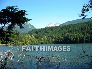 lake, forest, tree, thicket, timber, timberland, wood, woodland, pine, evergreen, Create, background, Backgrounds, Admire, Adore, Adulate, Celebrate, Exalt, Extol, Glorify, Love, Magnify, Praise, Pray, Respect, Revere
