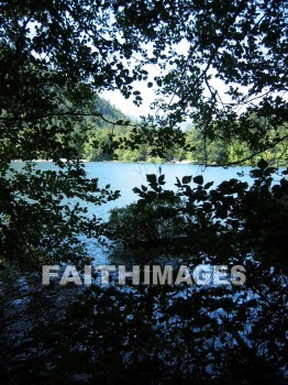 lake, forest, tree, thicket, timber, timberland, wood, woodland, pine, evergreen, Create, background, Backgrounds, Admire, Adore, Adulate, Celebrate, Exalt, Extol, Glorify, Love, Magnify, Praise, Pray, Respect, Revere