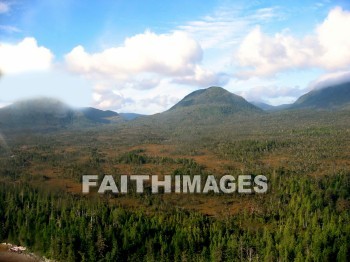 mountain, hill, alp, bluff, cliff, crag, dome, drift, elevation, height, mound, mount, peak, pike, range, ridge, forest, tree, thicket, timber, timberland, wood, woodland, pine, evergreen, sky