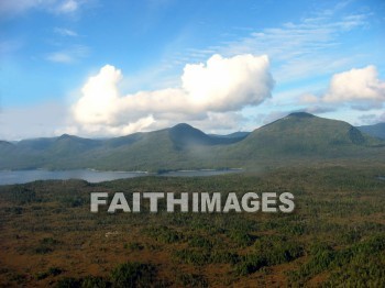 mountain, hill, alp, bluff, cliff, crag, dome, drift, elevation, height, mound, mount, peak, pike, range, ridge, forest, tree, thicket, timber, timberland, wood, woodland, pine, evergreen, sky