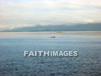 shoreline, bank, coast, oceanfront, sea, front, seaboard, seashore, seaside, shore, waterfront, beach, coastland, whale, alaska, Banks, coasts, seas, fronts, seaboards, seashores, shores, waterfronts, beaches, whales