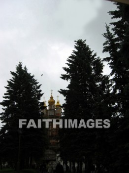 church, forest, tree, backwoods, grove, growth, thicket, timber, timberland, wood, woodland, woodlot, russia, gold, onion, dome, Churches, forests, trees, groves, Thickets, timbers, woods, woodlands, onions, domes