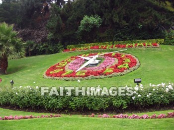 flower, flowering, clock, bloom, blossom, blossoming, bud, cluster, creation, Create, background, Backgrounds, Admire, Adore, Revere, Reverence, Sanctify, Sing, Beautiful, Present, Presentation, Worship, Puerto, Varas, Chile, plant