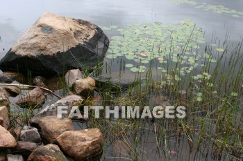 rock, boulder, Lily, pad, grass, lake, creation, nature, Worship, background, Presentation, rocks, boulders, Lilies, pads, grasses, lakes, creations, natures, presentations