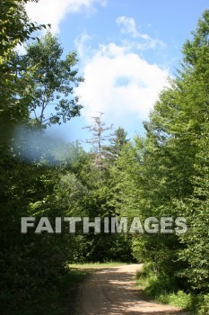 cloud, white, soft, fluffy, path, tree, creation, nature, Worship, background, Presentation, clouds, whites, paths, trees, creations, natures, presentations