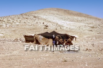 bedouin, woman, man, tent, quarter, Goat, hair, House, home, dwelling, residence, separation, unequal, women, men, tents, quarters, goats, hairs, houses, homes, dwellings, residences, separations